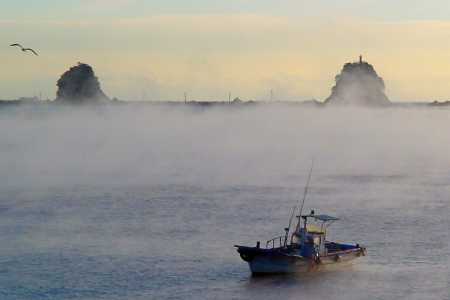 久礼湾堤防からの漁船と朝霧